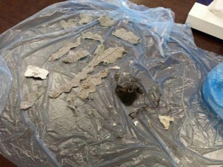 بالصور.. السعودية 470889-2.jpg?width=450