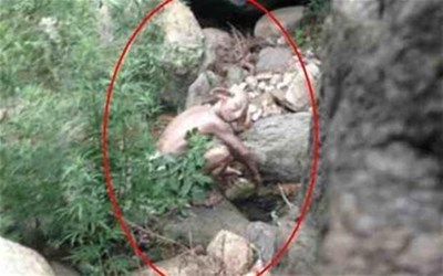 بالفيديو والصور سائح يلتقط صور لمخلوق غريب بالقرب من سور الصين يُعتقد بأنه من قوم يأجوج ومأجوج