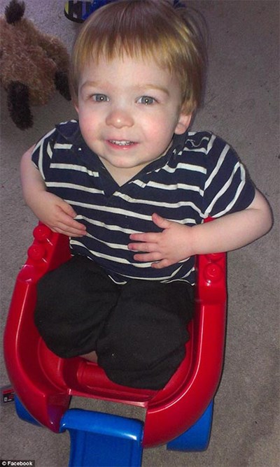 بالفيديو. البشريه 515004-4.jpg?width=400