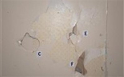 بالفيديو. البشريه 515004-6.jpg?width=400