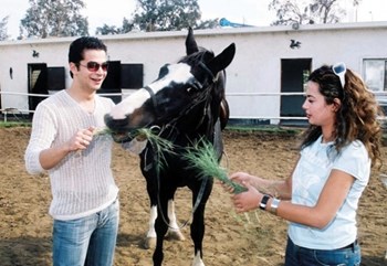 داليا مصطفى وشريف سلامة داليا مصطفى وشريف سلامة