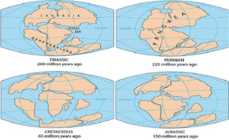 مراحل تفسخ القارة العملاقة وتباعد أقسامها عبر ملايين السنين