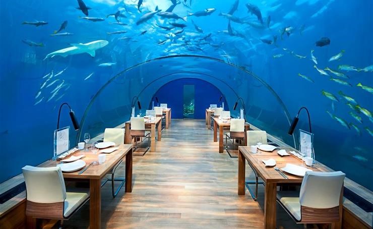 بالفيديو.. هذا هو أكبر مطعم تحت البحر في العالم.. تعرف على أسعاره