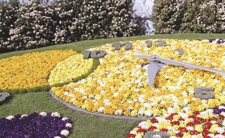 وفد الشعبة البرلمانية ناقش الشكاوى المقدمة ضد مجلس الأمة