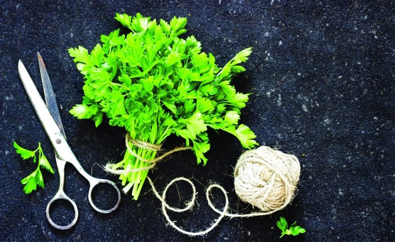 البقدونس.. &laquo;صيدلية&raquo; جسم الإنسان