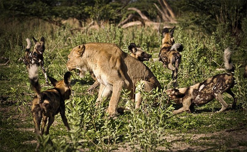 صورة تعبيرية 