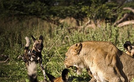 صورة تعبيرية