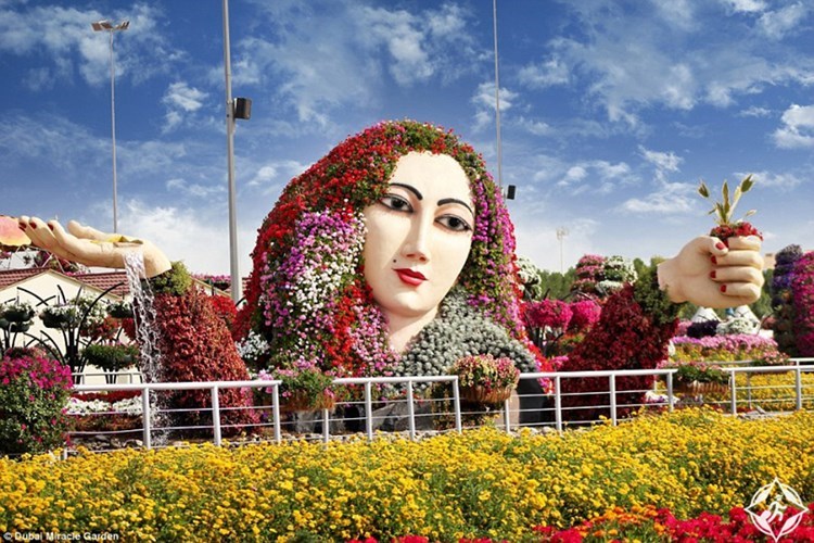 وصف الصورة