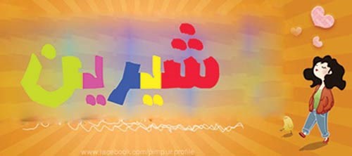 وصف الصورة