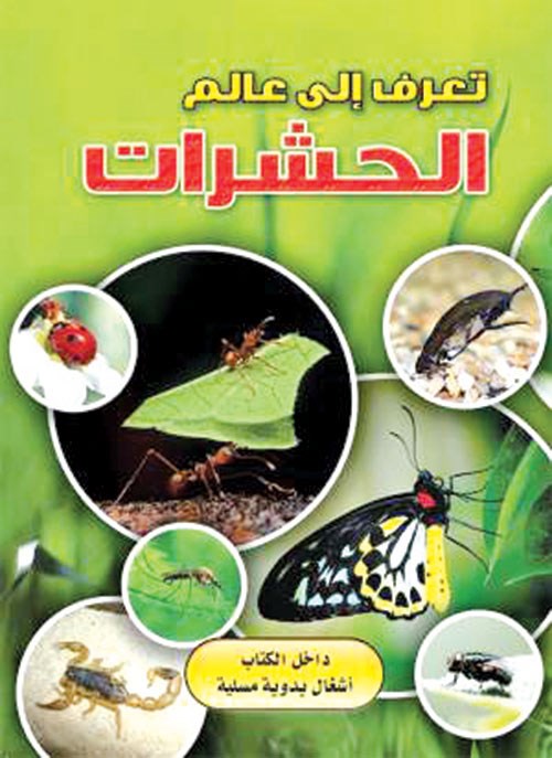 وصف الصورة