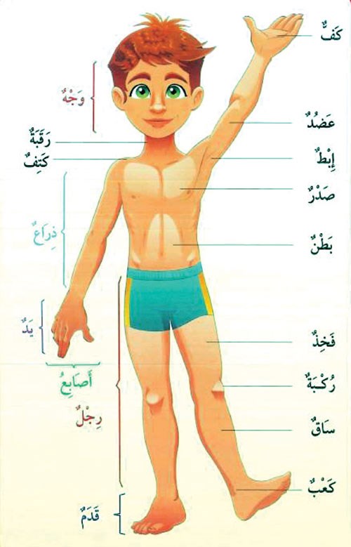 وصف الصورة