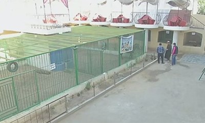 بالفيديو مصري يحول منزله إلى حديقة حيوان لكسب لقمة العيش