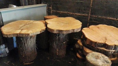 والطاولات في مطعم العراة، هي من خشب خام مقطوع كيفما كان، ومثبت فوق قطع من جذوع الأشجار
والطاولات في مطعم العراة، هي من خشب خام مقطوع كيفما كان، ومثبت فوق قطع من جذوع الأشجار