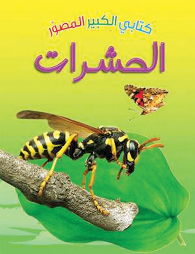 وصف الصورة
