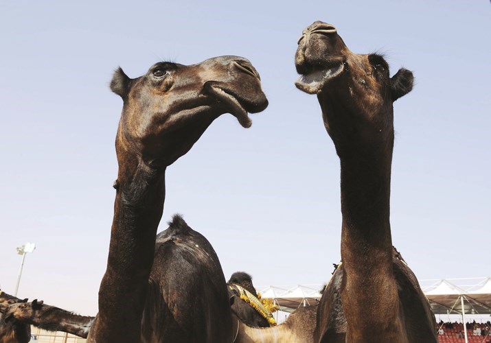 وصف الصورة