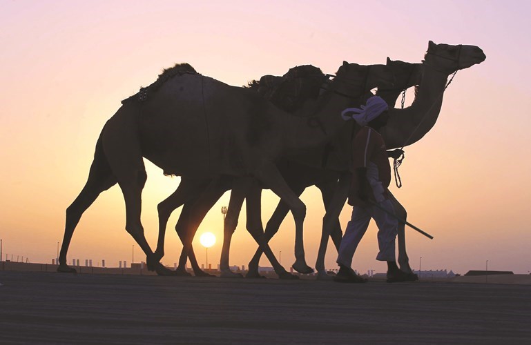 وصف الصورة