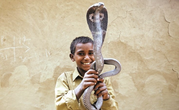 وصف الصورة