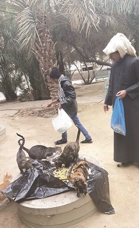 وصف الصورة