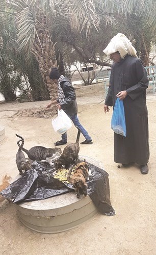 وصف الصورة