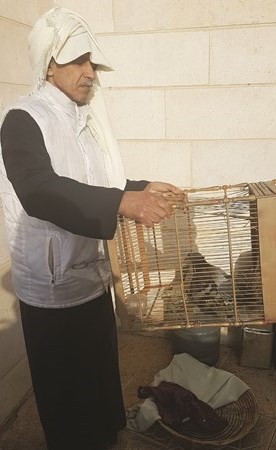 وصف الصورة