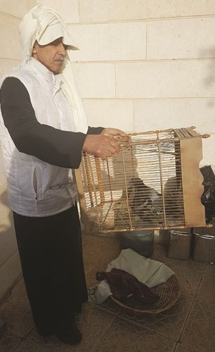وصف الصورة