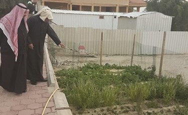 وصف الصورة