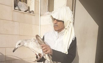 وصف الصورة