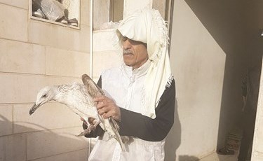 وصف الصورة