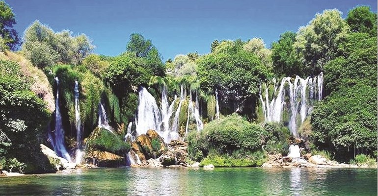 وصف الصورة