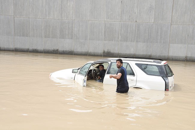 وصف الصورة