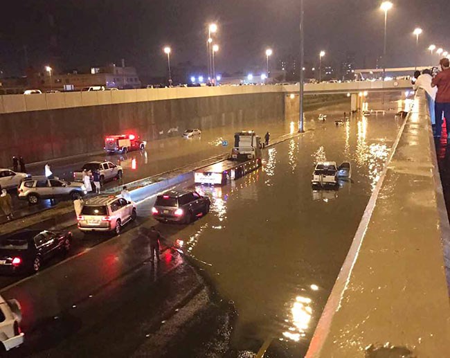 وصف الصورة
