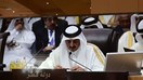   تميم بن حمد أمير قطر