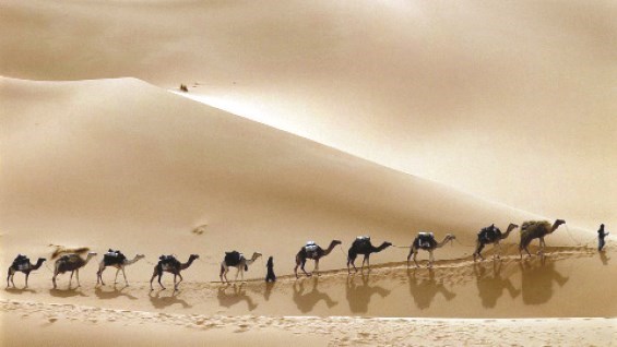 وصف الصورة