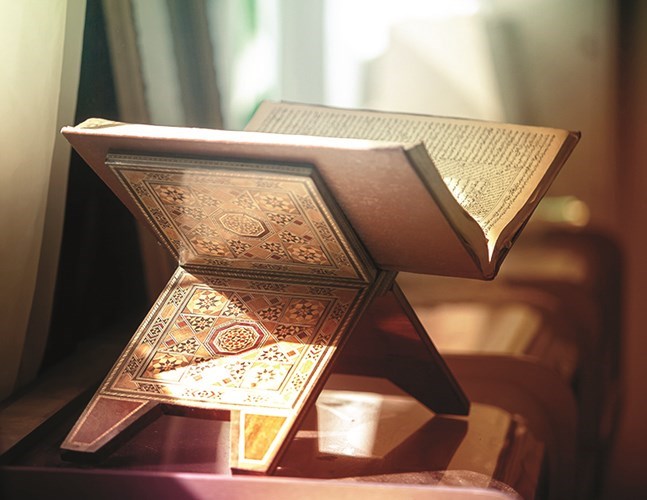 وصف الصورة
