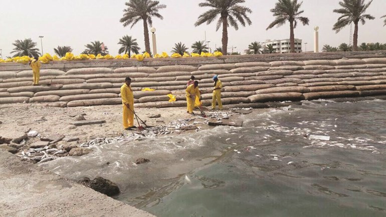 وصف الصورة
