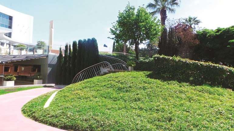وصف الصورة