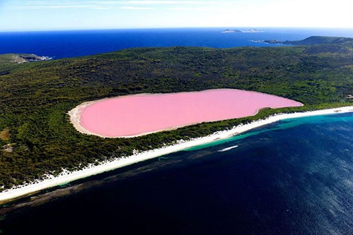  بحيرة هيلير Lake Hillier - استراليا
