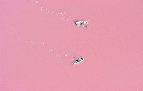  بحيرة ريتبا Lake Retba - السنغال