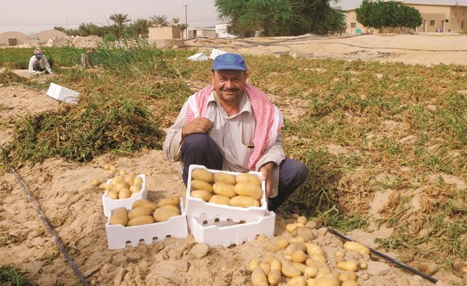وصف الصورة