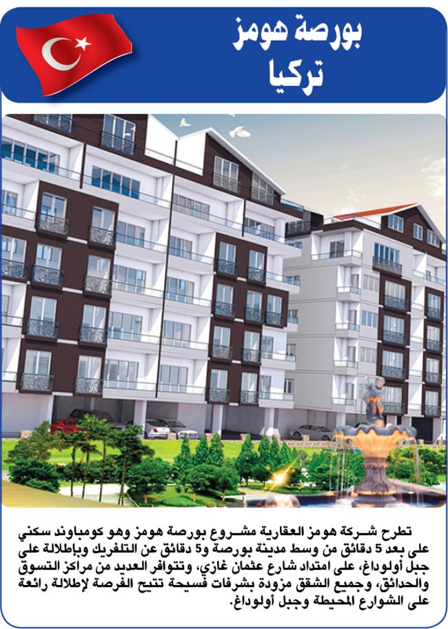 وصف الصورة