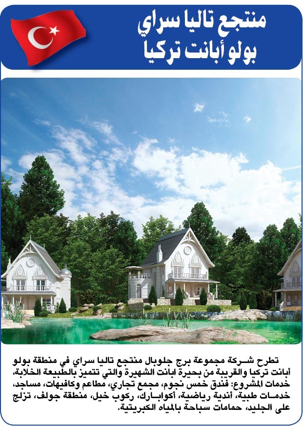 وصف الصورة