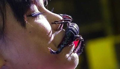 بالصور.. فتاة تايلاندية تحطم الرقم القياسي لإبقاء العقارب في فمها