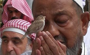 من هو صاحب هذه الصورة التي أشعلت مواقع التواصل في رمضان ؟ 4 من هو صاحب هذه الصورة التي أشعلت مواقع التواصل في رمضان ؟