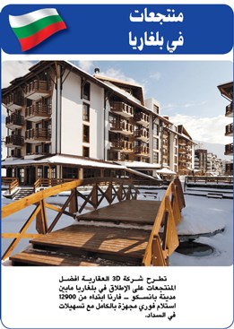 وصف الصورة