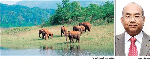 وصف الصورة