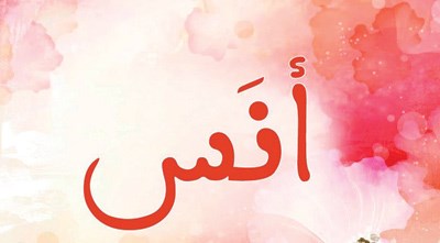 وصف الصورة