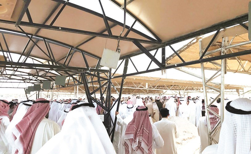 وصف الصورة