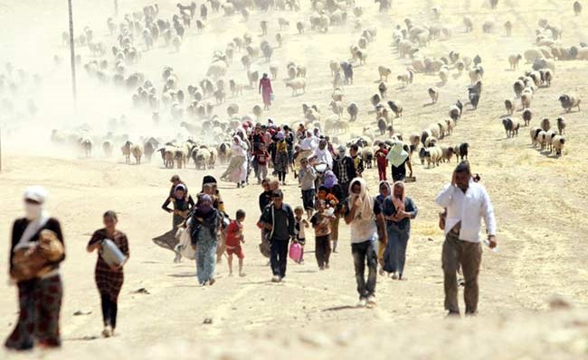 وصف الصورة