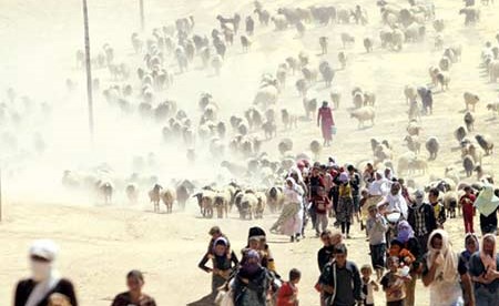 وصف الصورة