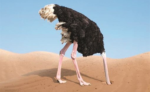 وصف الصورة